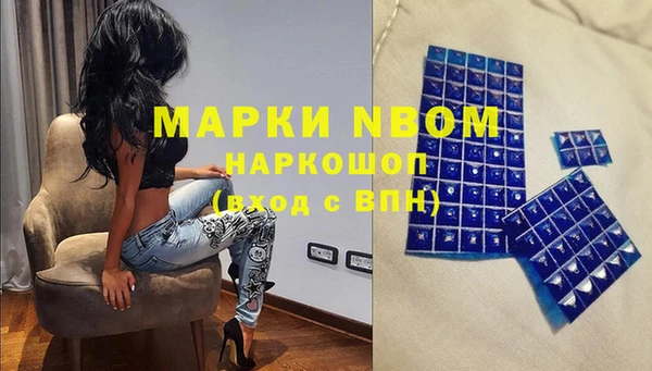 мдпв Алексин