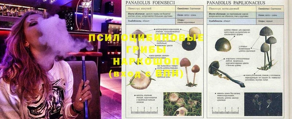 таблы Абаза