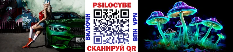 где купить   Кызыл  Псилоцибиновые грибы Psilocybine cubensis 